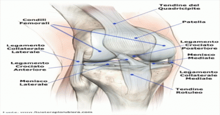 SIAMO TUTTI CON IL GINOCCHIO DI CAPITAN SINI !!!!!!